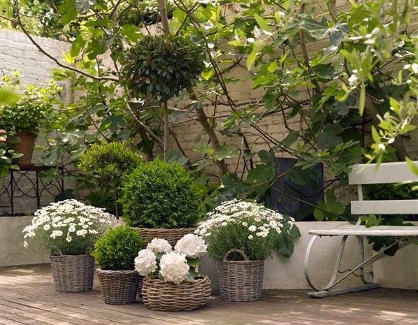 Garden Gift Guide 2022