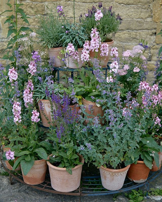 Garden Gift Guides